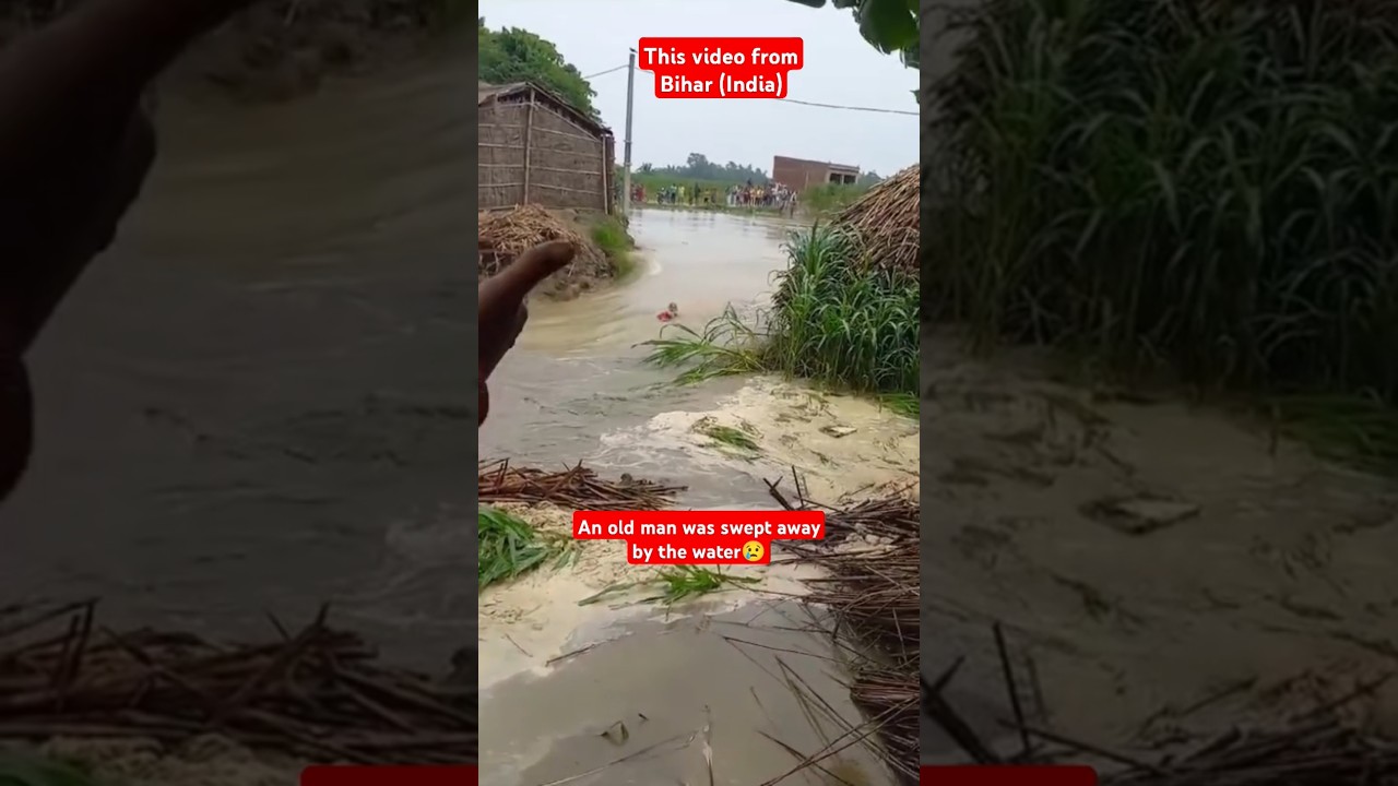 Huge flood of india (Bihar) | flash flood #flashflood #biharnews