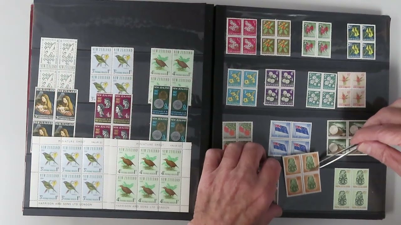 C023 – NEW ZEALAND 1960/1982 COLLECTION OF MINT BLOCKS 4 IN STOCKBOOKS (x2)