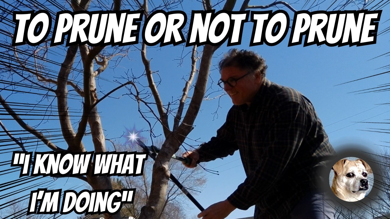 Обрезать или не обрезать? Давайте начнём!