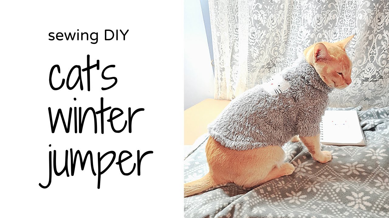 DIY Winter Jumper for Cat and Pattern linked