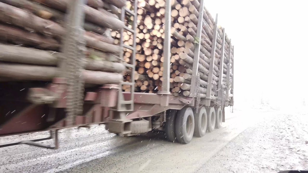 Logging trucks in North Maine Woods