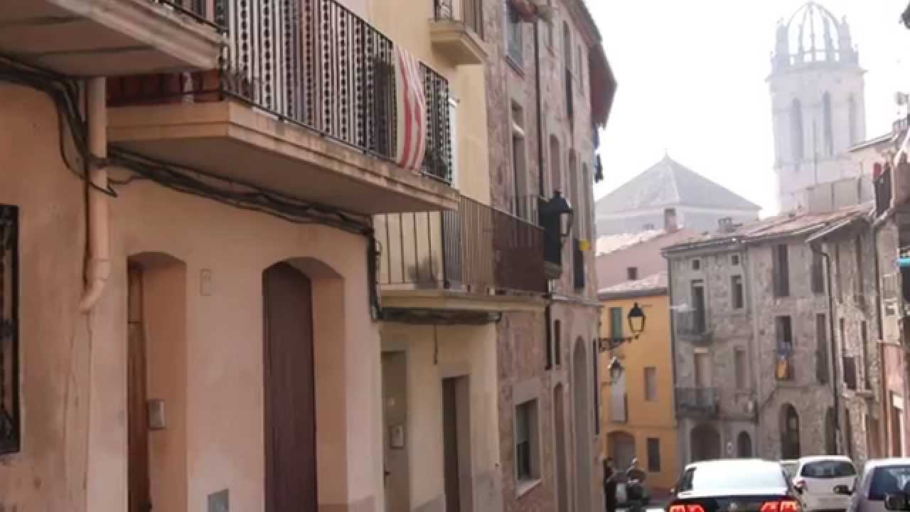 Detalles de Moi&agrave; o Moy&aacute;