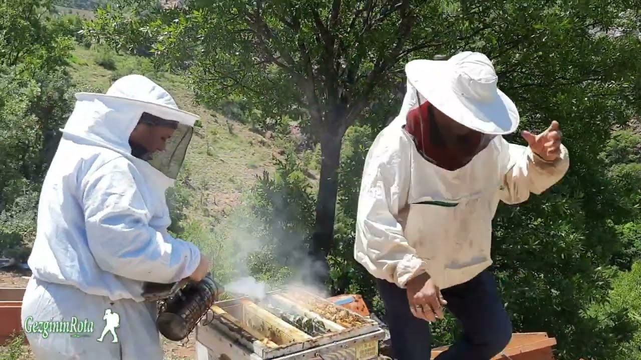 Balcı Tontul Ailesi Bal Üretim Serüveni - Doğa'dan üstelik Bozkır'dan gelen Lezzet.