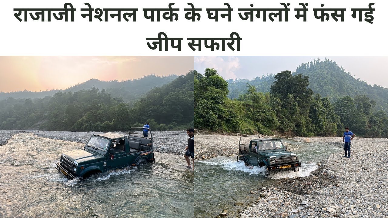 राजाजी नेशनल पार्क के घने जंगलों में फंस गई जीप सफारी @VivekAwasthiVlogs