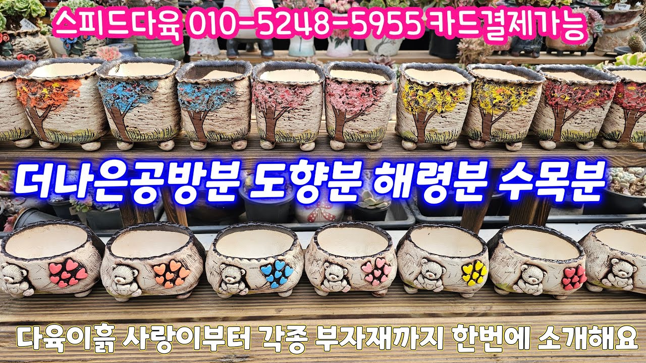26.2.13🌹 더나은공방분 도향분 수목분 해령분 부여분 다육이흙 사랑이 각종 부자재까지 소개해요🌹 #스피드다육010-5248-5955 