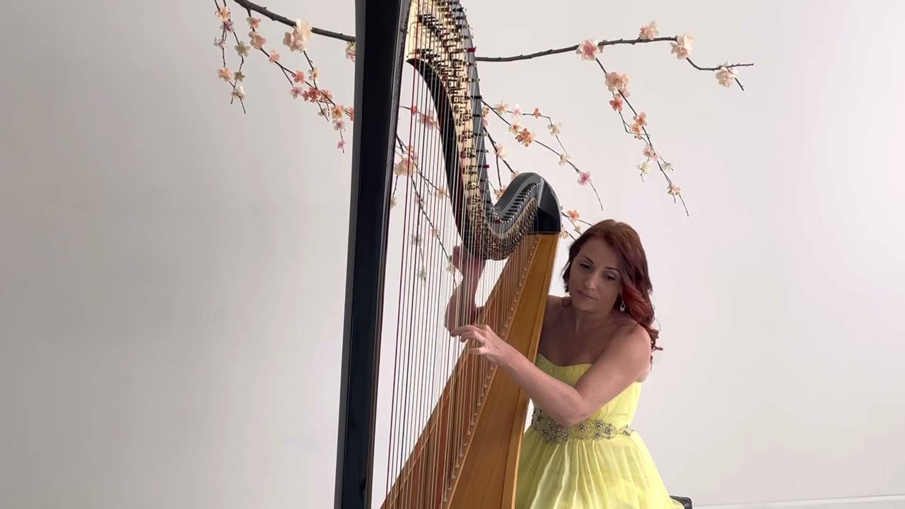 Lara’s theme from Doctor Zhivago movie (harp cover)