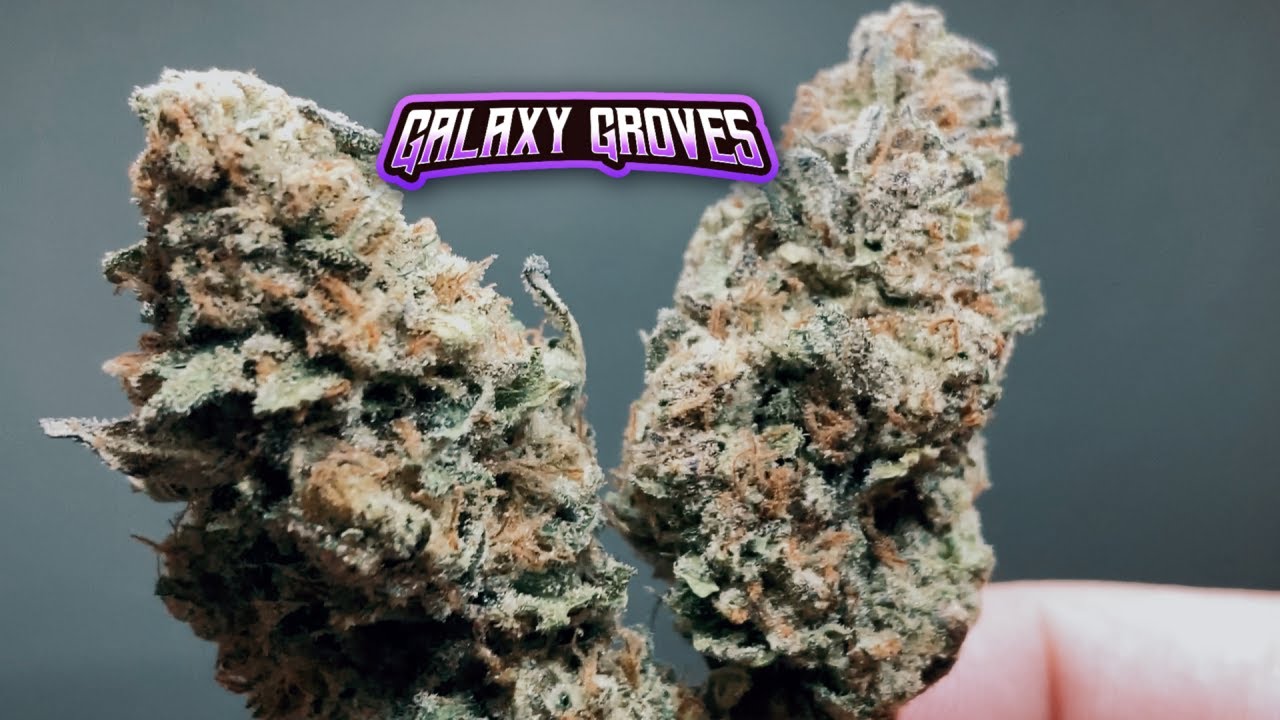 Galaxy Groves&rsquo; FIRE THCa! 🔥