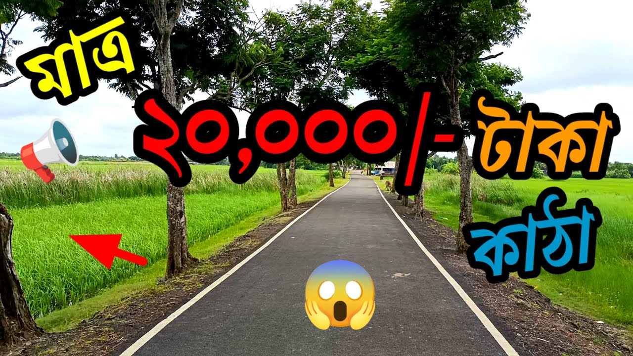 ২৫ ফিট পিচ রাস্তার পাশে শালী জমি বিক্রয়, খুব কম দাম/ village land for sale.