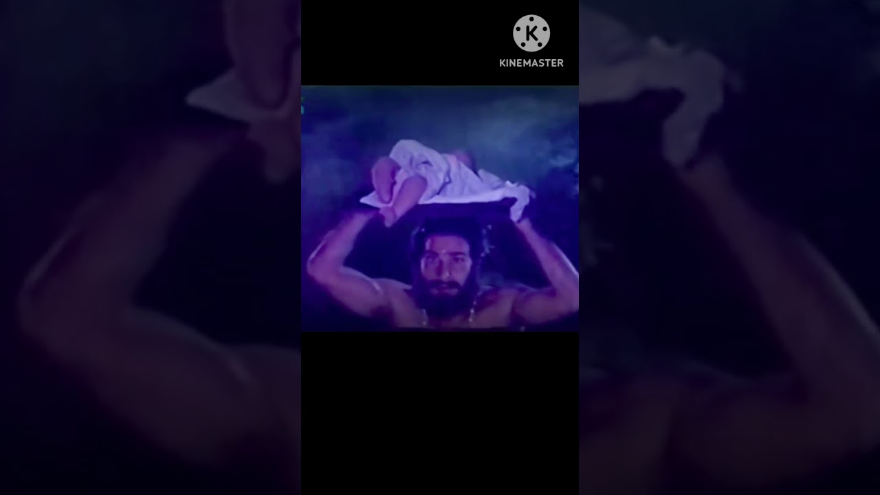 O jara sar ko Jhukao Vasudev ji ||Happy janmashtami #shorts #youtubeshorts #shortsvideo #janmashtami