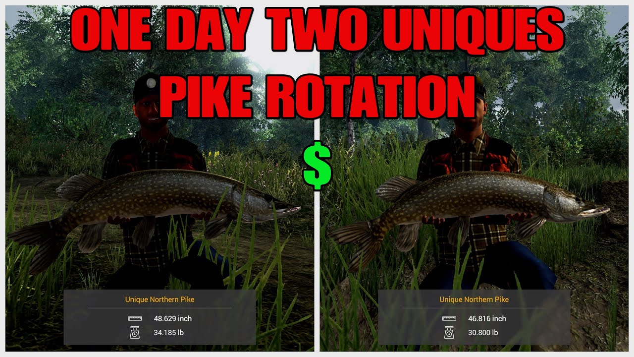 Unique Pike Rotation Guide For Saint Croix Lake - Fishing Planet