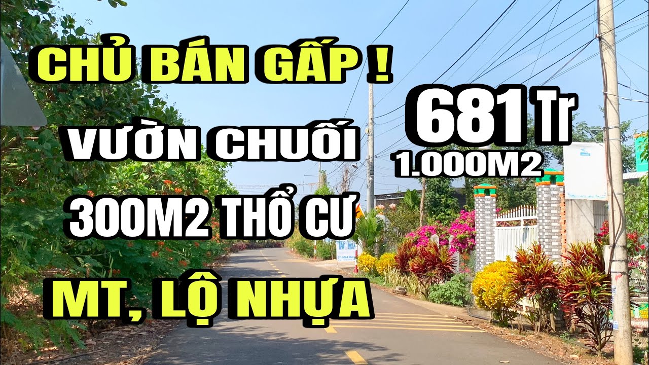 Chủ Quang giảm giá, bán gấp vườn chuối, mặt tiền lộ nhựa, gần Đường 765, Huyện cẩm Mỹ cũ, Đồng Nai