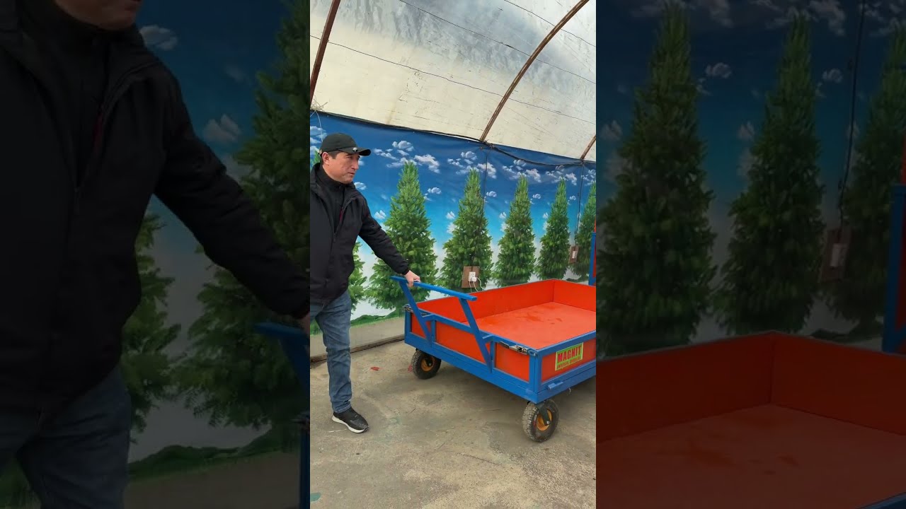 Зохиджон хакимов 