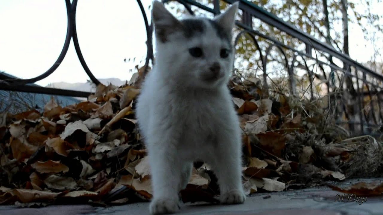 Лагерь 