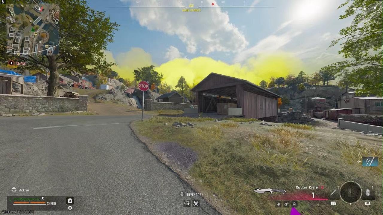 Using Generated CoD loadouts