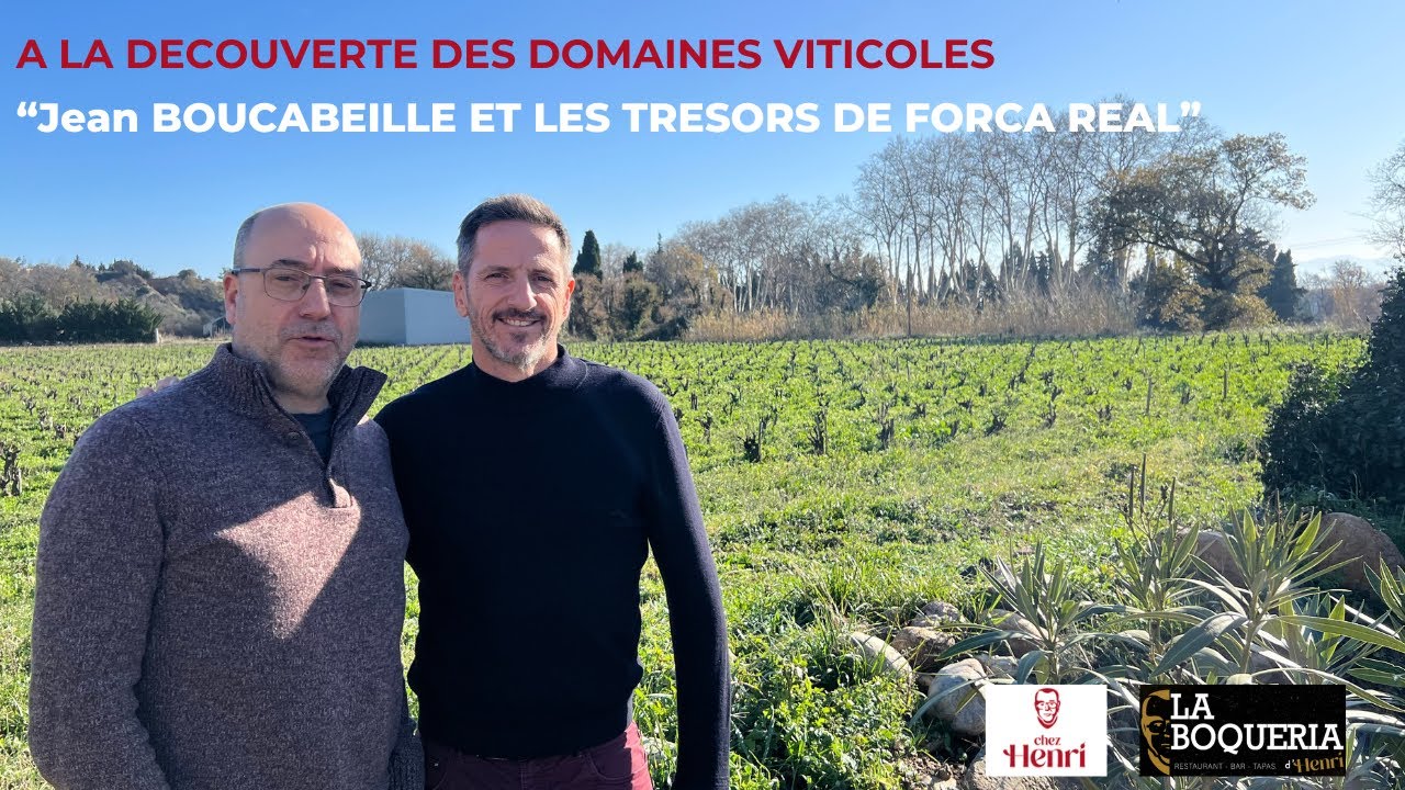 “À la découverte des domaines viticoles : Jean BOUCABEILLE et les trésors de Força Réal”