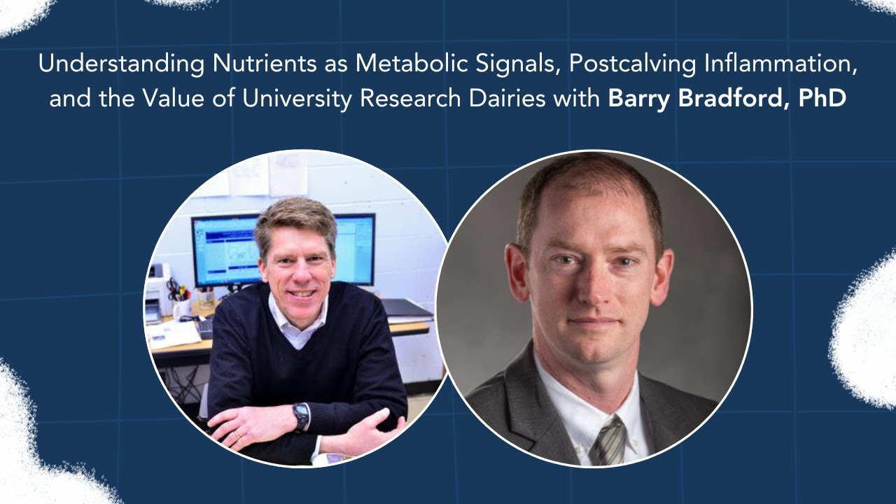 Dairy Digressions S3 Ep29 | Nutrients as Signals & Postcalving Inflammation w/ Barry Bradford, PhD