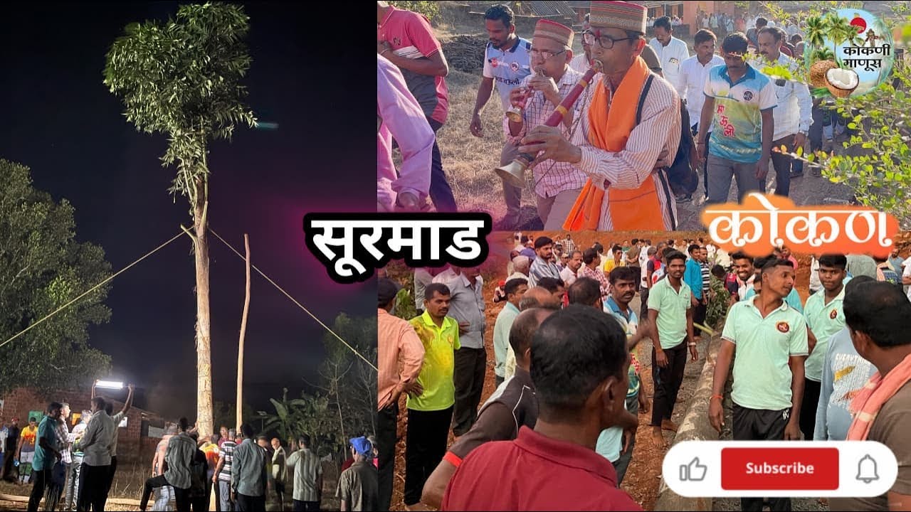 गावातील लोकांनी वाजवत गाजवत आणला सुरमाड #villagelife #viralvideo #kokani #maharashtrianvlogs #vlog