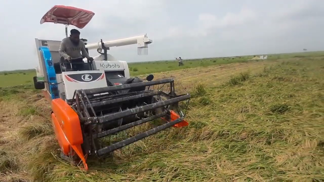 Kubota DC70 combine harvester #combine #kubota #kubotadc70plus #harvester