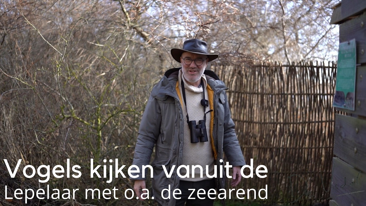 Vogels kijken vanuit vogelkijkhut De Lepelaar met o.a. de zeearend #1720