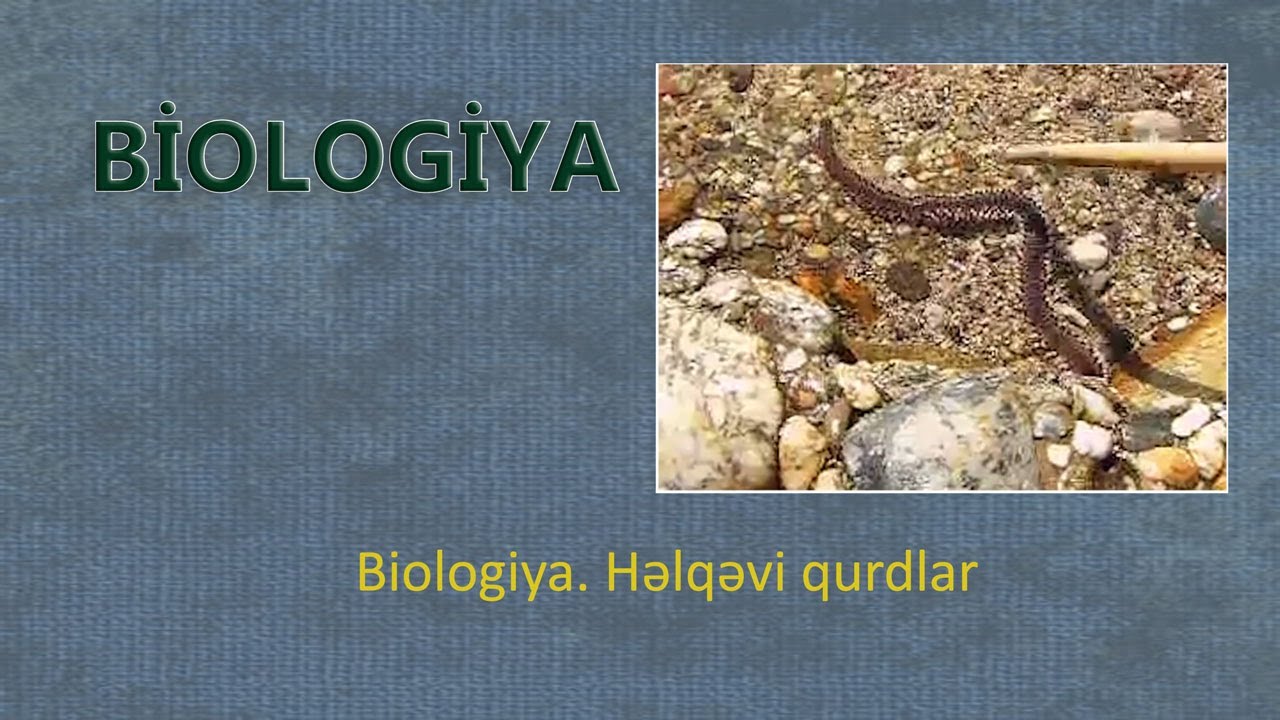 Biologiya. Həlqəvi qurdlar