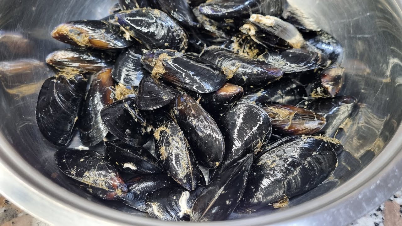 Pulire e spurgare le cozze con il metodo del sale | MAMMASTYLE.IT |