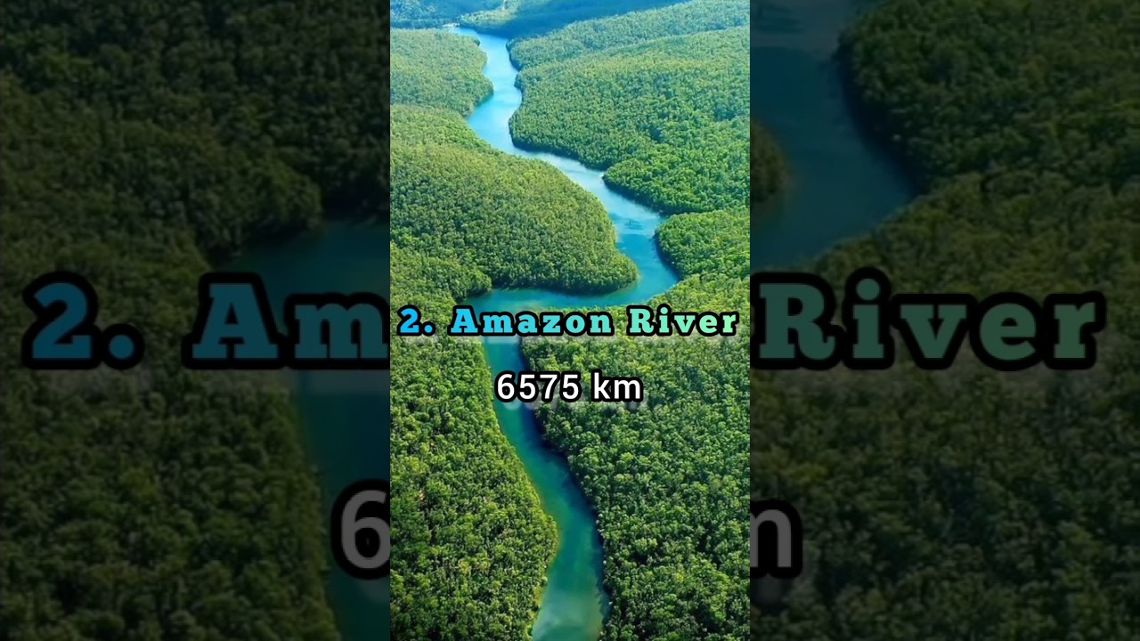 Top 10 Longest Rivers in the World #shorts #short #top10 #ytshorts