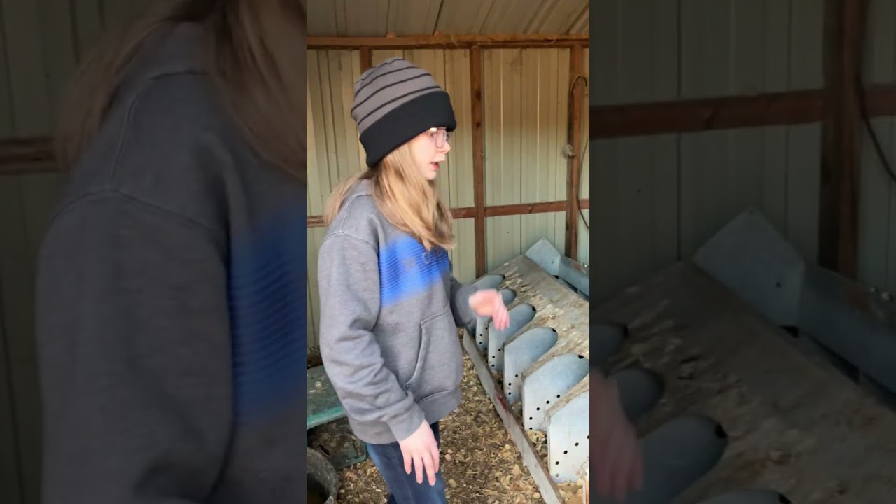Always Wabbit Country from a kids perspective Part 2
