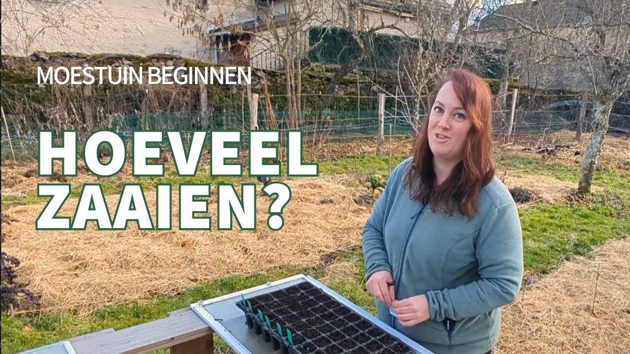 Hoeveel moet je zaaien? | Moestuin beginnen | Slim plannen met doperwten & tuinbonen