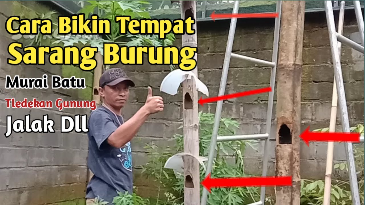 Cara Bikin Tempat Sarang Dari Bambu ||#su_kamdi