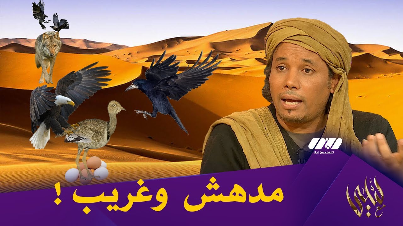 رضوان طاهري:صقر يتعاون مع غراب لتقاسم 