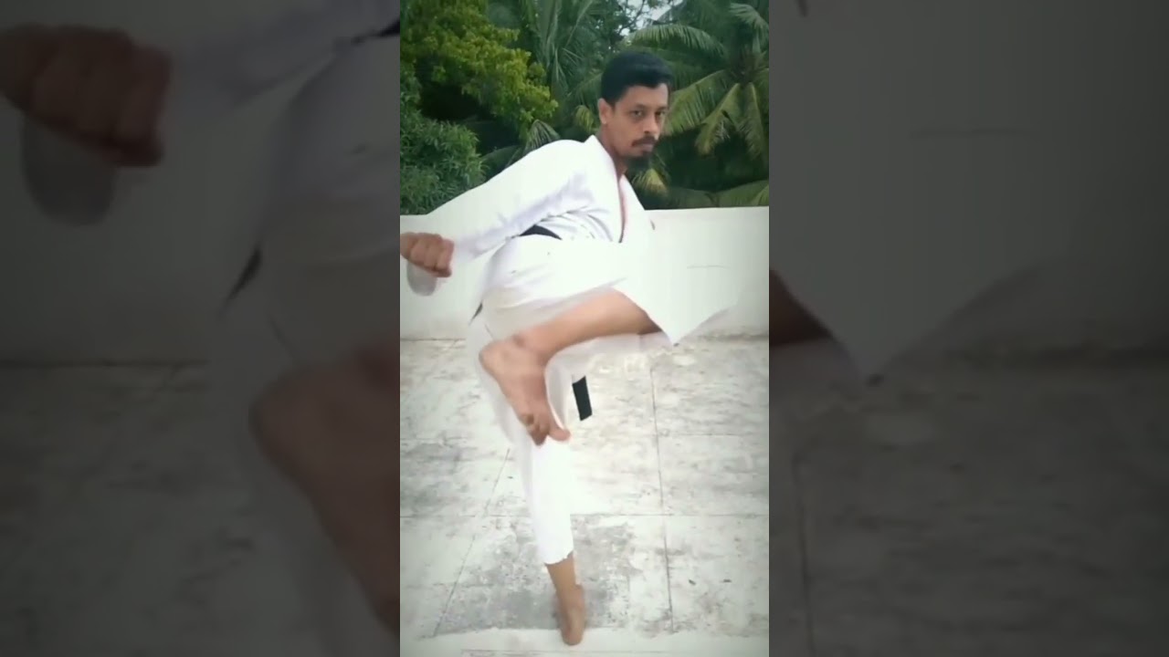 Karate basics in slow motion🥋 | kiba dachi & side kick 