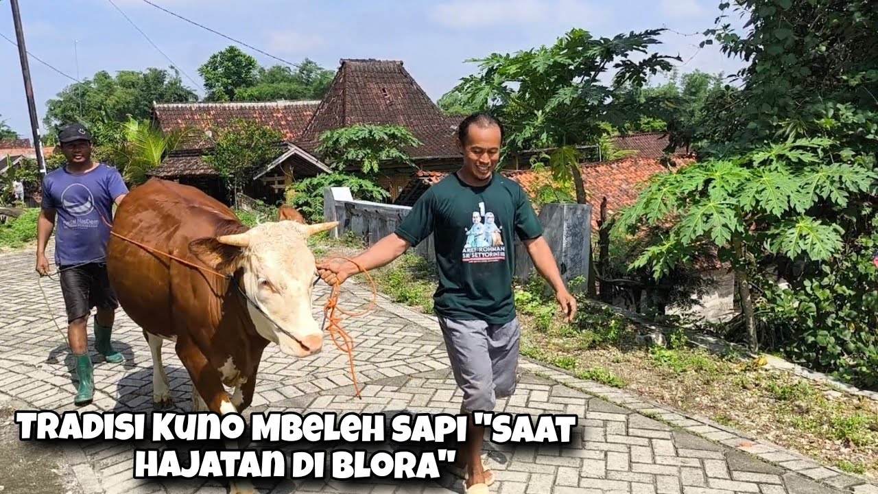 Ketika Sultan Desa Punya Gawe, Butuh Ratusan Juta Untuk Gelar Hajatan Mantu Di Blora Part 02