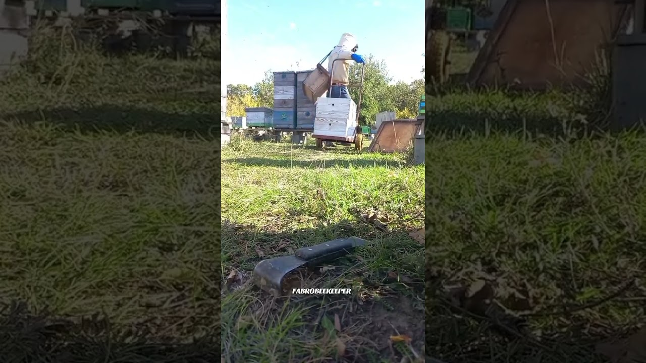 #fabro #fabrobeekeeper