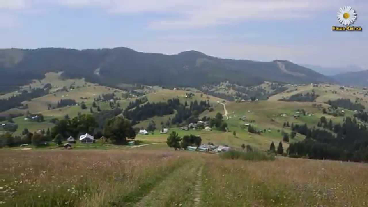 Квітка Цісик (Kasey) - &laquo;Я піду в далекі гори / I Will Go to the Distant Hills&raquo;