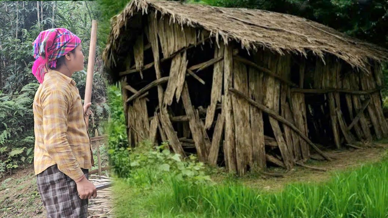Single mother trying to renovate a dilapidated house into her dream home - Will it come true?