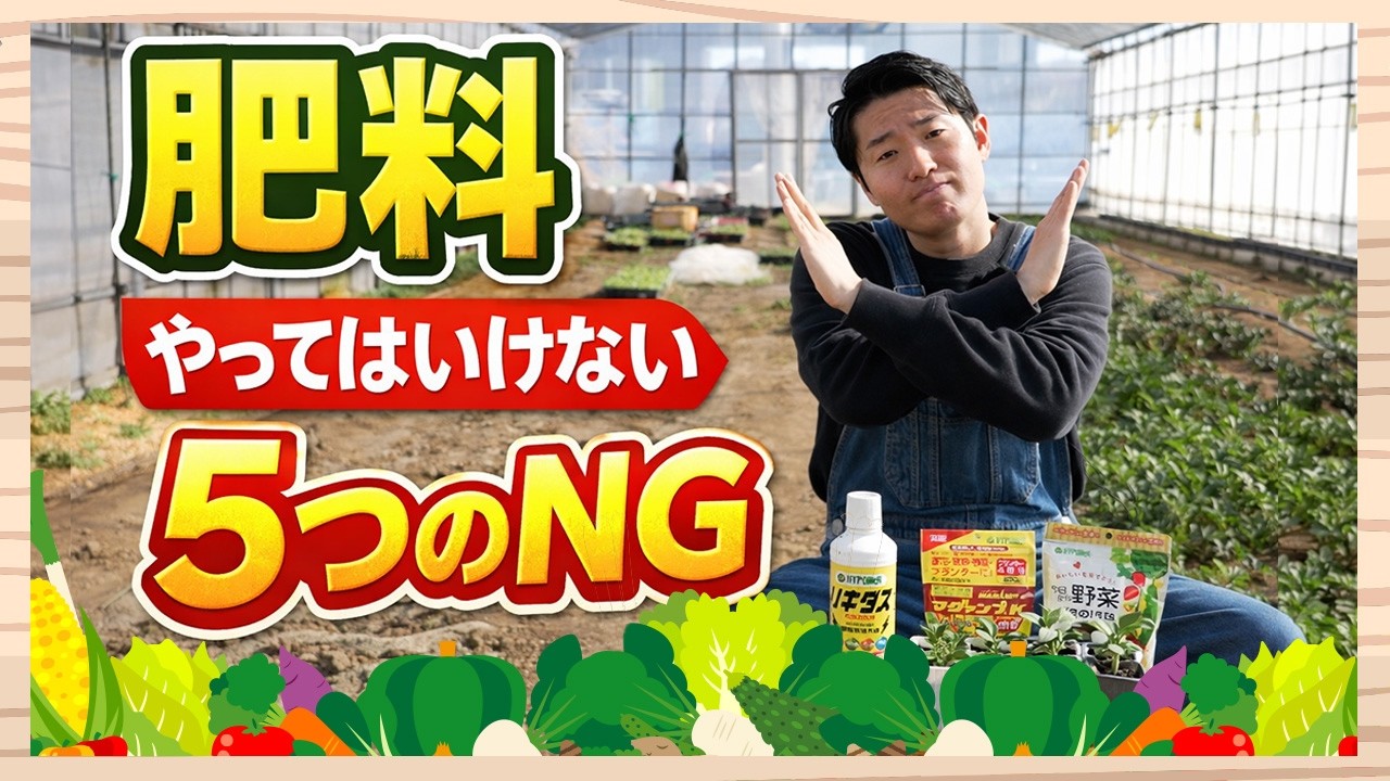 その肥料の与え方間違ってるかも！？やってはいけない5つのNGを解説！【ハイポネックス】【リキダス】