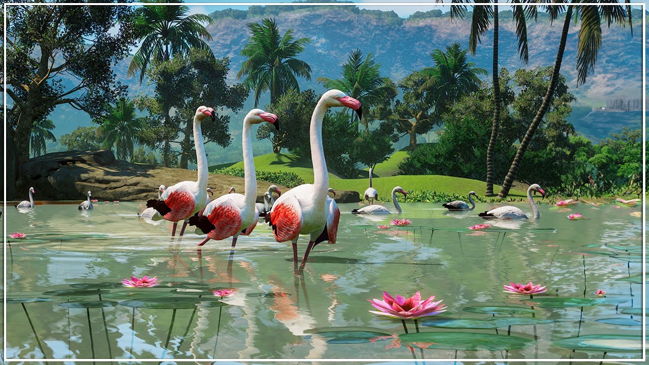 Building the ULTIMATE Tropical Zoo in Planet Zoo Franchise Mode (Part 1)