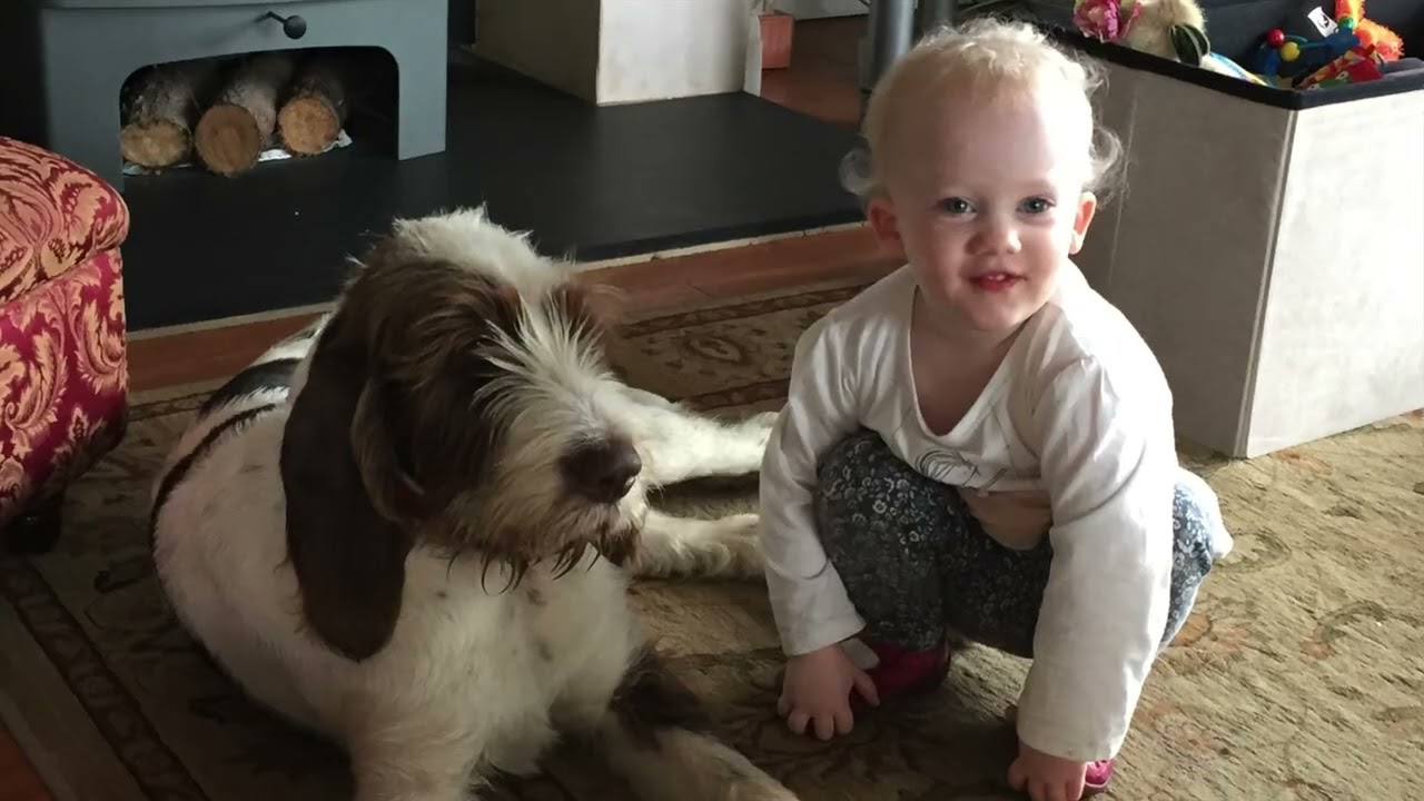 MONTI & POPPY MEMORIES 2014-2026 RIP
