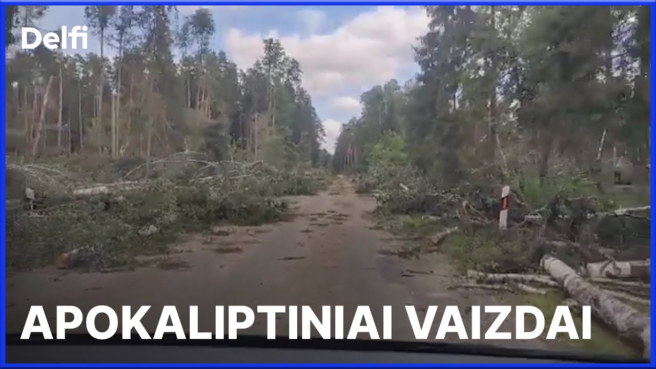 Skaitytojas dalijasi apokaliptiniais vaizdais Lietuvoje &ndash; audra i&scaron;guldė girią
