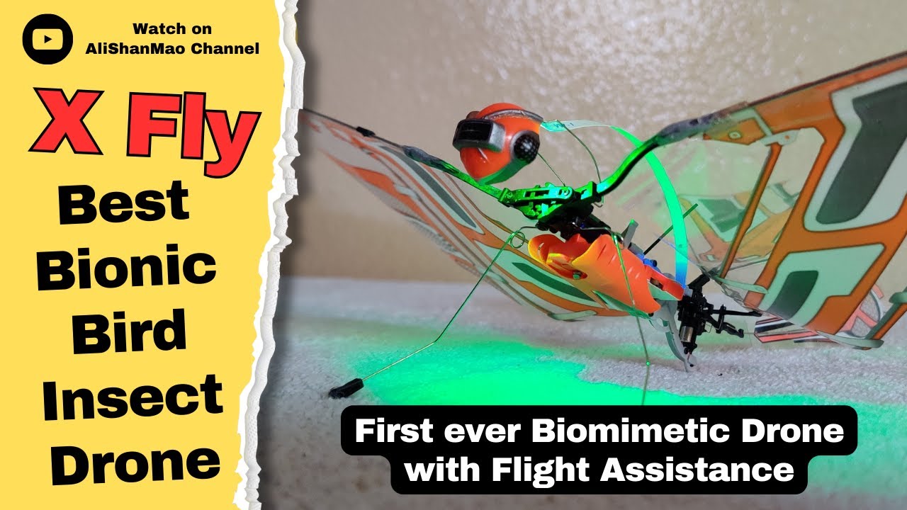 Best Ornithopter Drone 2024: X Fly Bionic Bird with Advanced Flight Assistance!