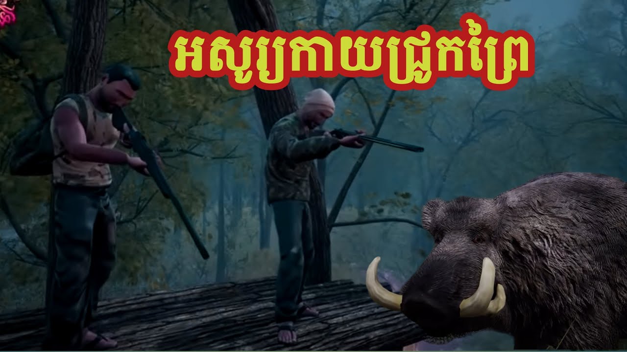 អសូរ្យកាយជ្រូកព្រៃ | ប្រភព អាចារ្យក្មេង