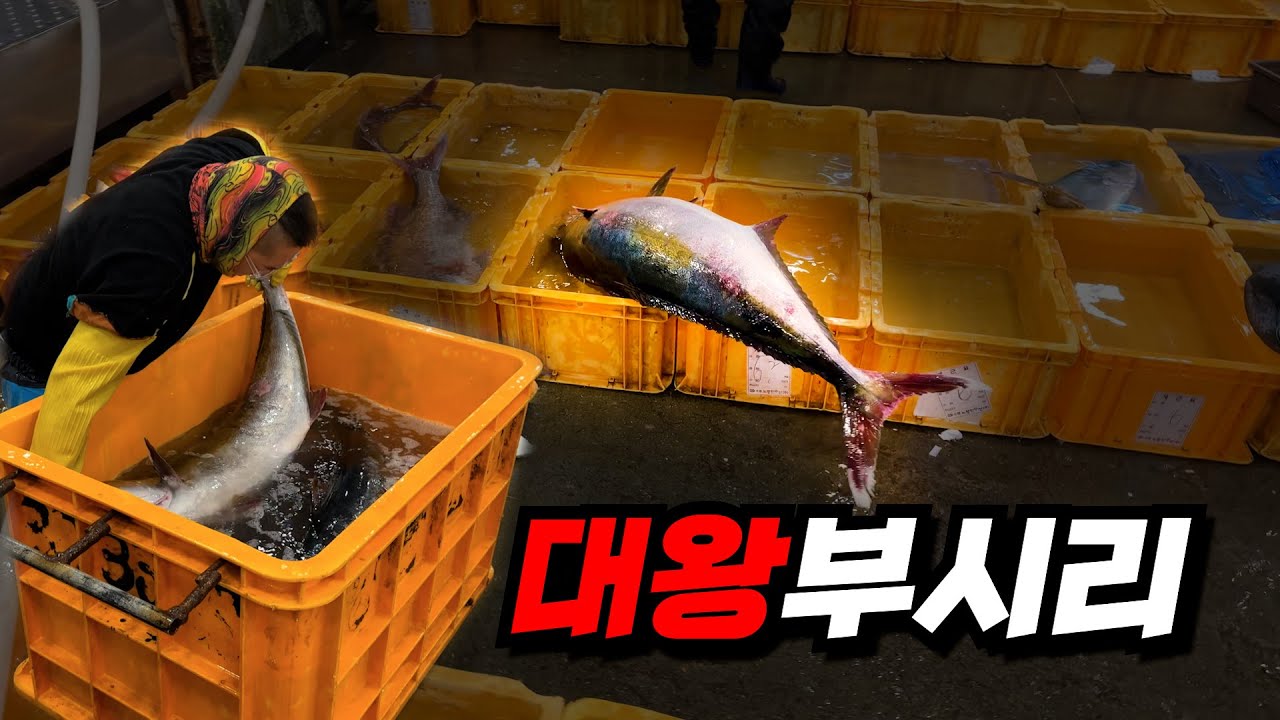 군계일학
