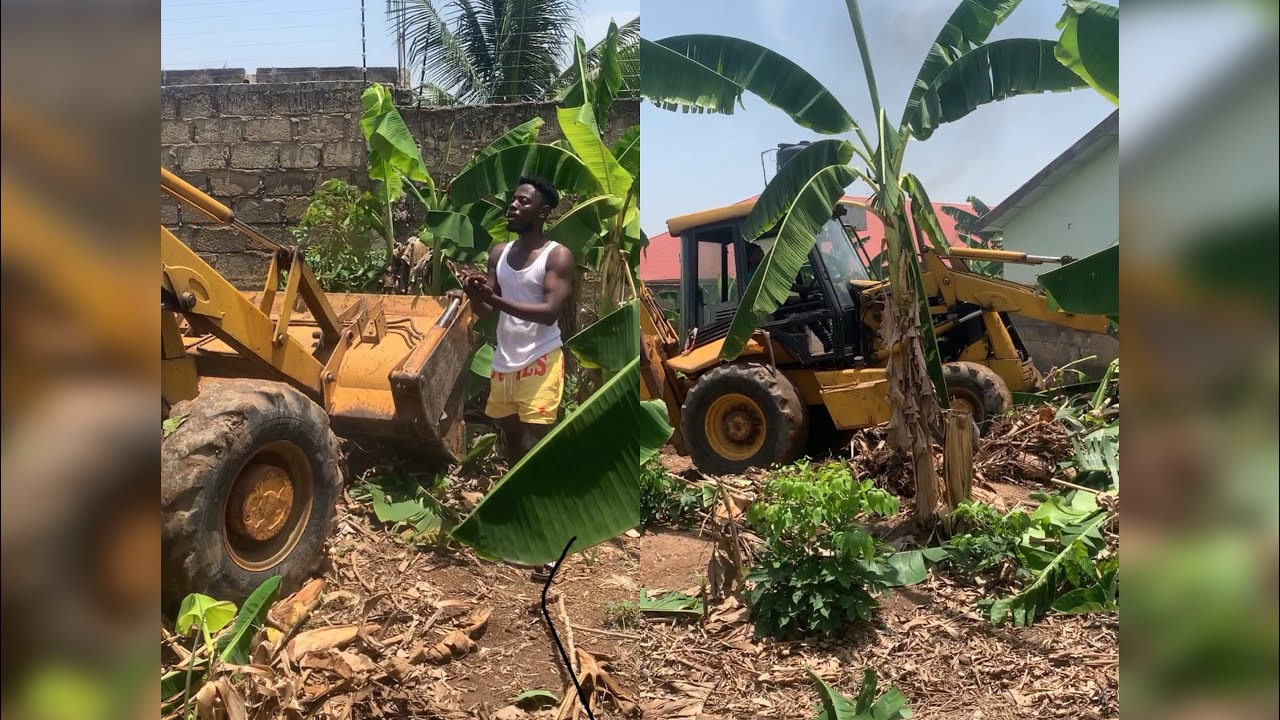 Maafia upon maafia Sojaman has demolishèd Kwaw weezy’s plantains farm with excavator🤣🤣🤣