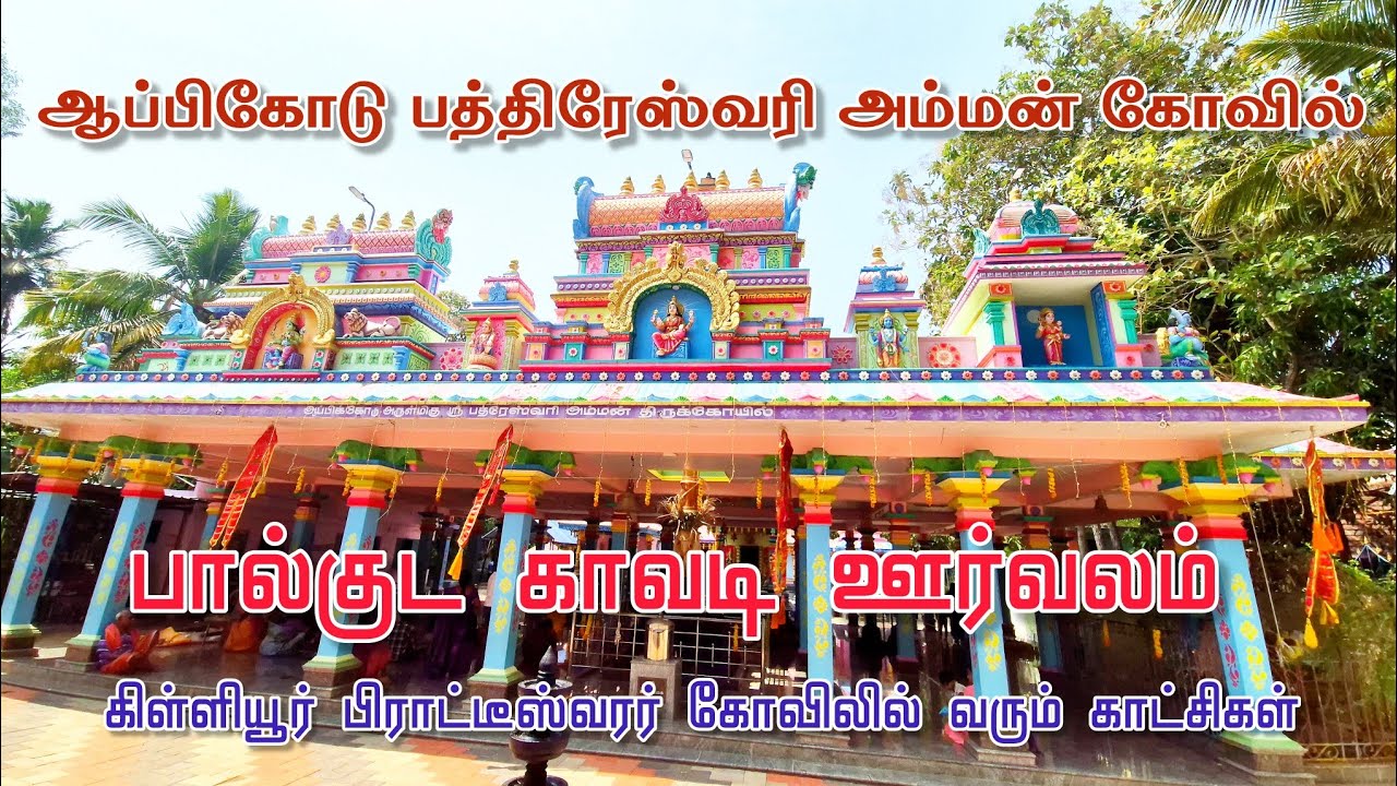 ஆப்பிக்கோடு அருள்மிகு ஸ்ரீ பத்ரேஸ்வரி அம்மன் திருக்கோவிலில் நடைபெற்ற ஊர்வலம் - 08-02-2026/part2