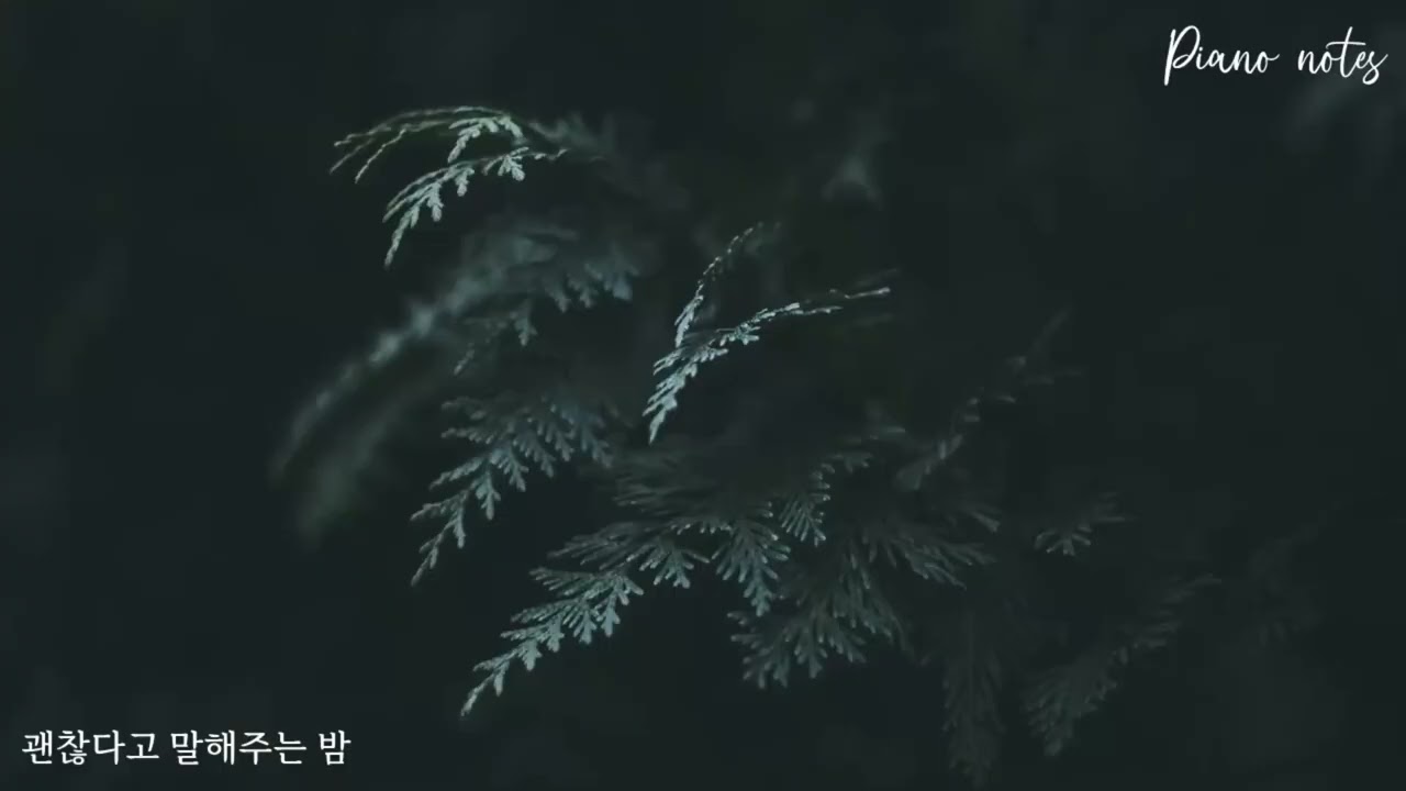사연신청곡 I 괜찮다고 말해주는 밤 I A Night That Says It’s Okay