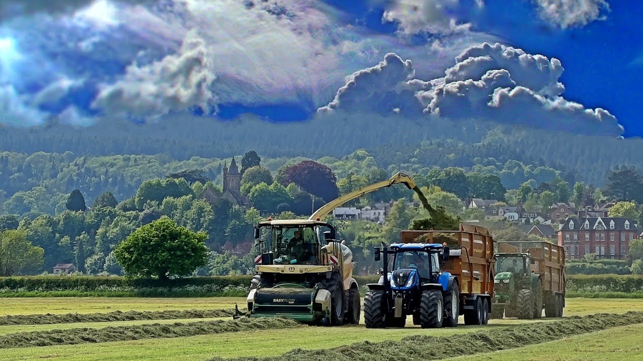 Silage 2024-KRONE BiG X 680 Action-1st Cut Silage Part 2
