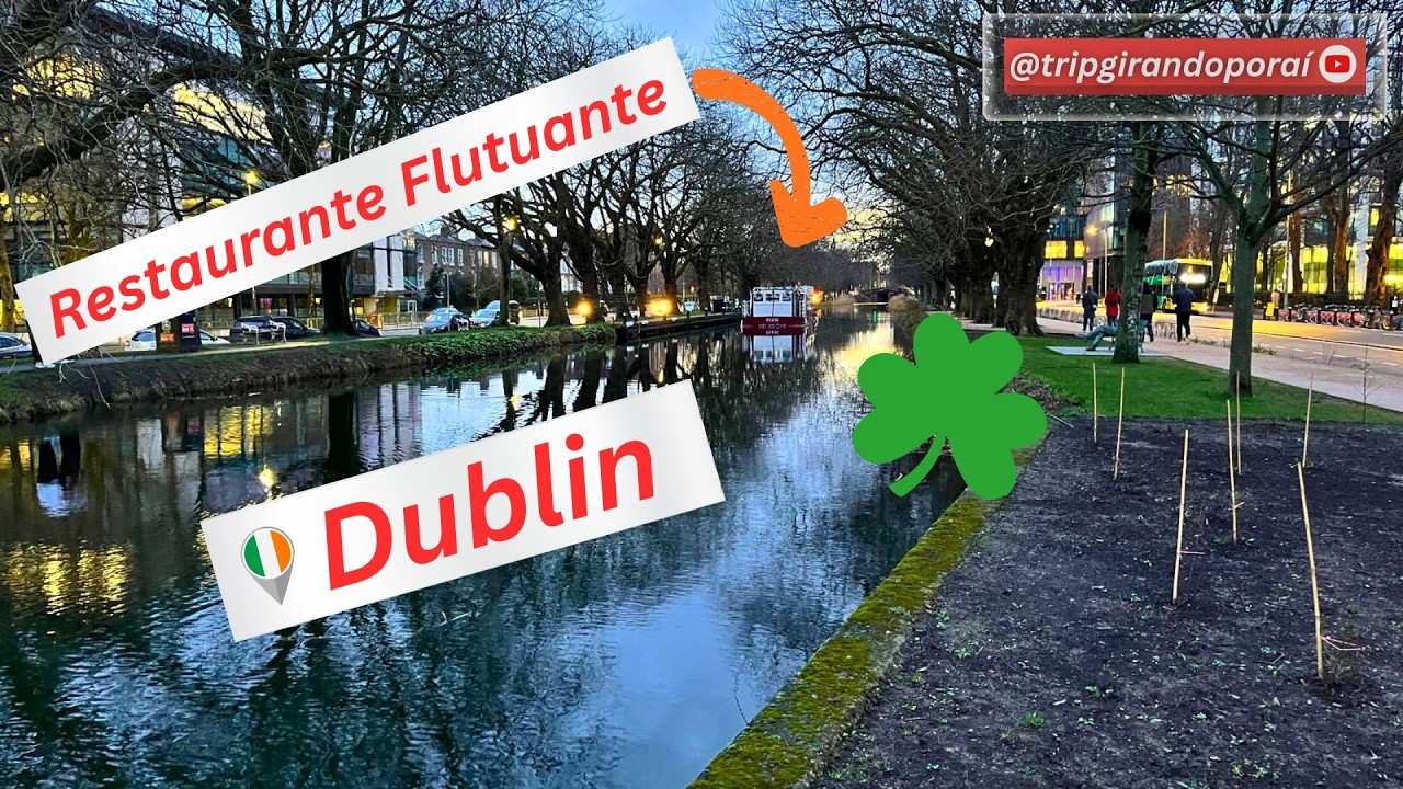 Fim de tarde em DUBLIN | Evening Walk: Baggot St. 🇮🇪 to GRAND CANAL