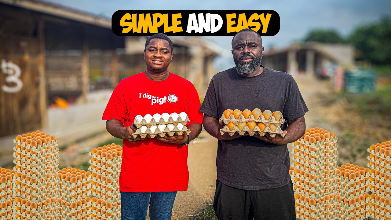 How To Start a 1,000 Capacity Poultry Farm in Ghana | Full Cost, Setup & Profit Breakdown