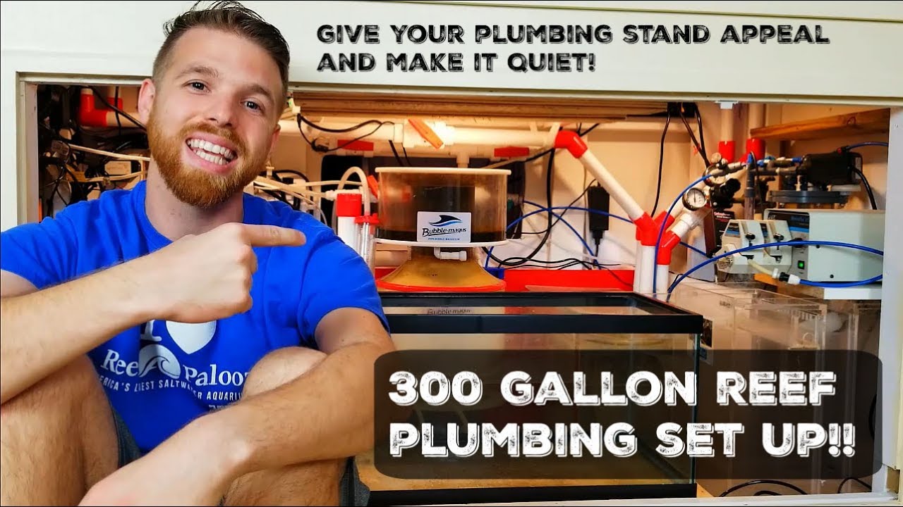 THE 300: Plumbing 🚰 in My 300 Gallon Reef Tank Overview Series