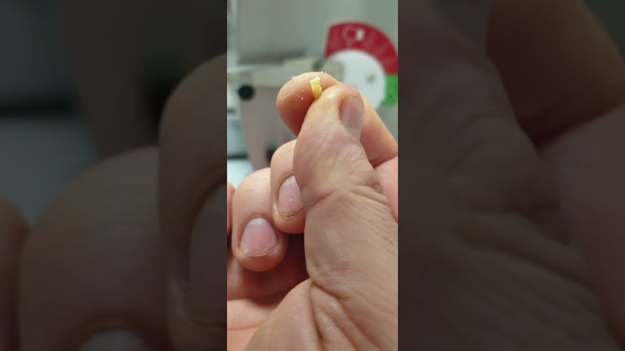 Come va pulita la macchina per la pasta trafilata.